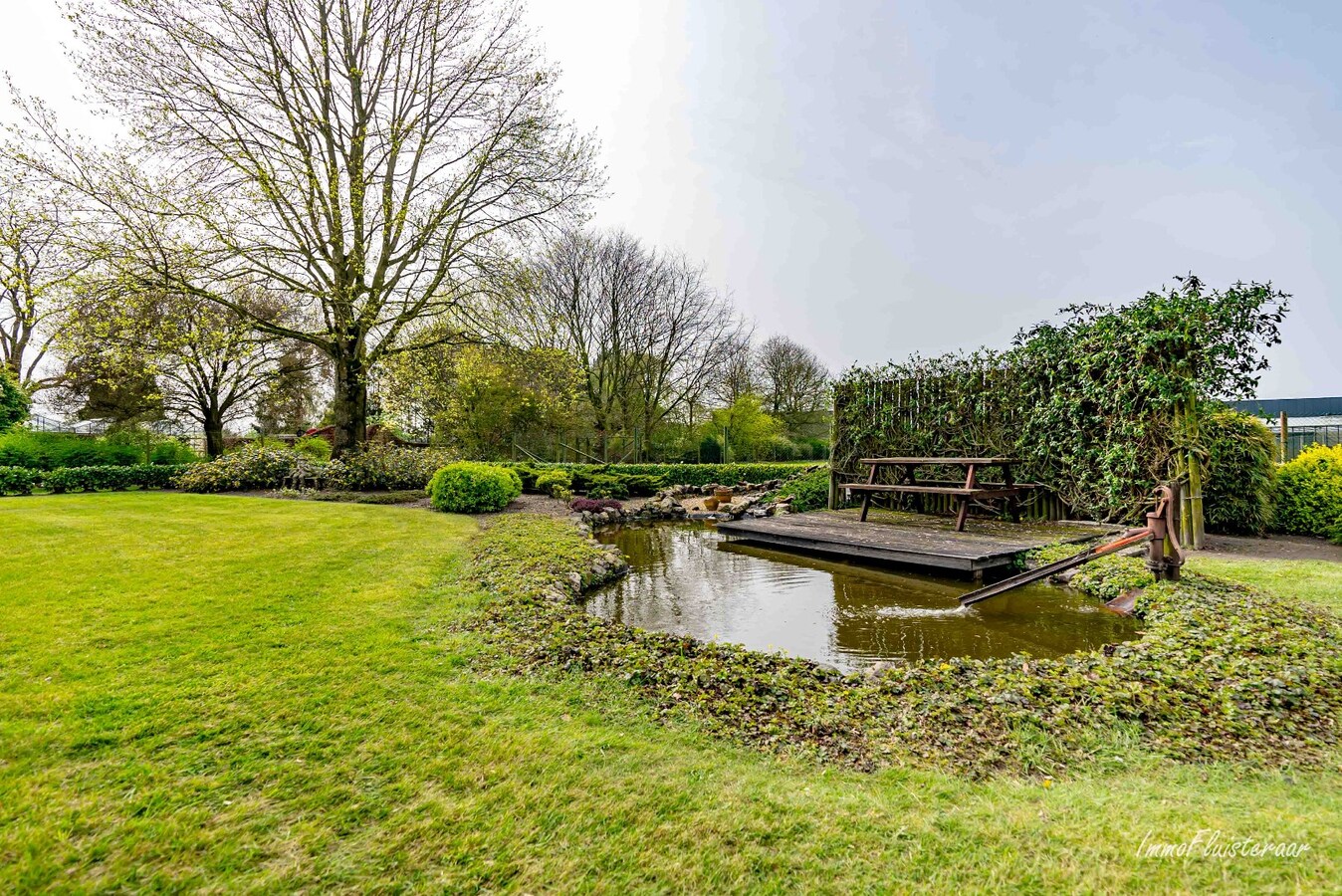 Grande maison avec des prairies et une serre sur environ 1,2 ha &#224; Hoogstraten 