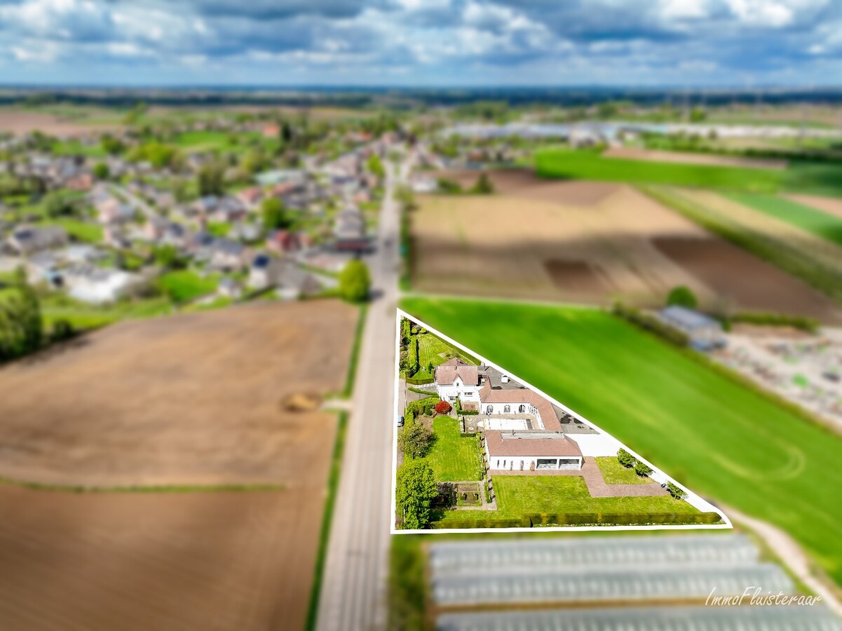 Propri&#233;t&#233; unique avec deux spacieuses maisons sur un terrain d&#39;environ 35 ares &#224; Bilzen. 