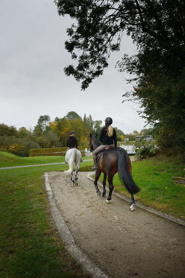 Exclusive professional equestrian center on app. 3,5ha at Fleurus (Hainaut; Belgium) 