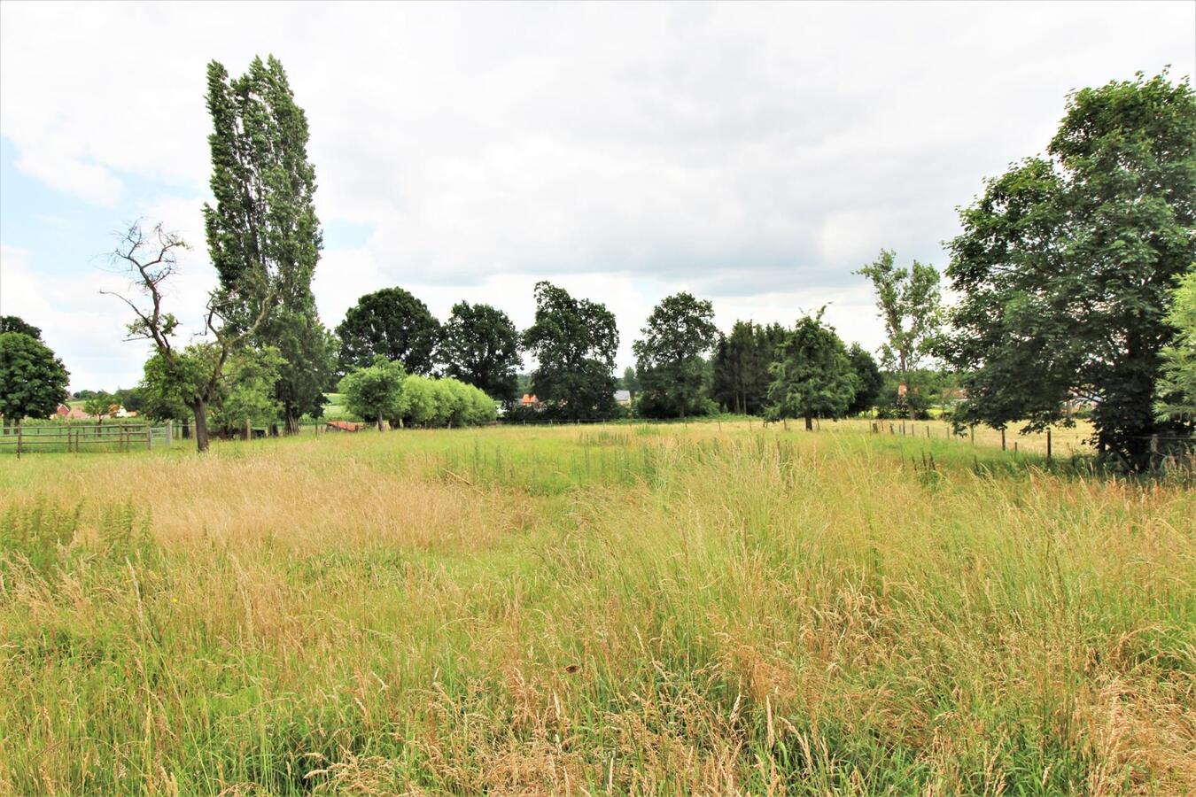 Te renoveren hoeve met bijgebouwen en een weiland op ca. 1.3ha te Kortenaken/Waanrode (Vlaams-Brabant) 