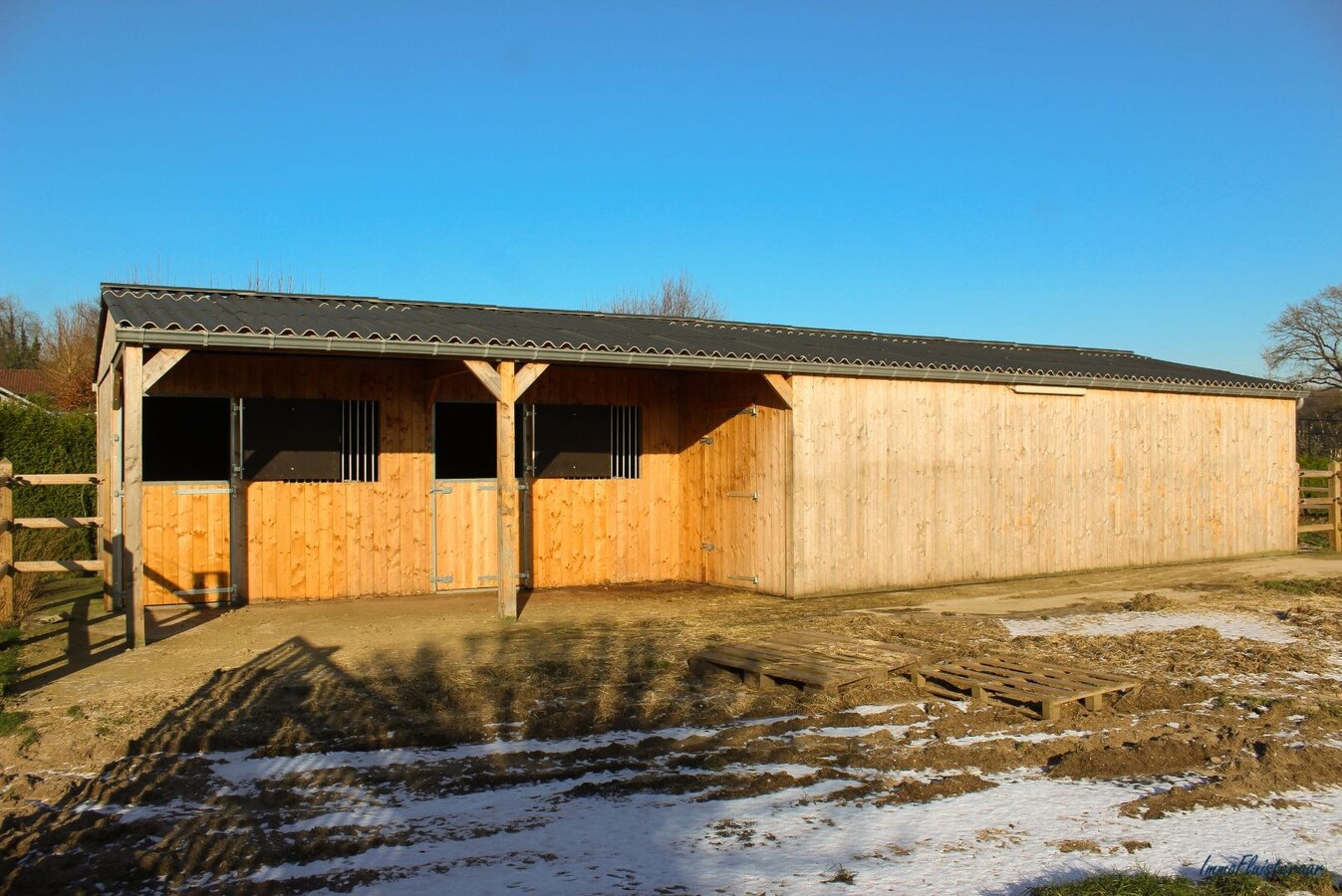 Ruim woonhuis op ca. 90are te Maaseik 