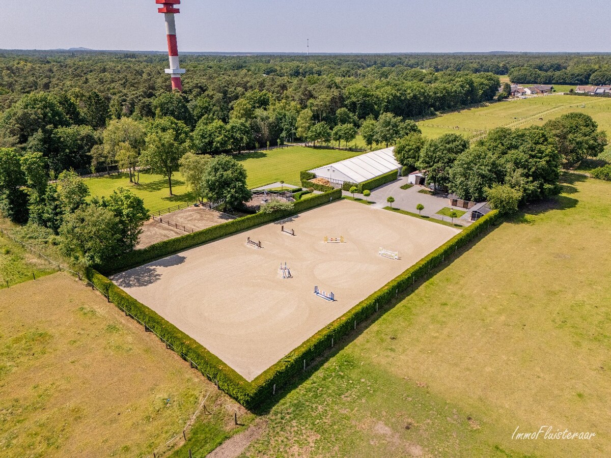 Complete horse accommodation on approximately 3.5 hectares in Helchteren 