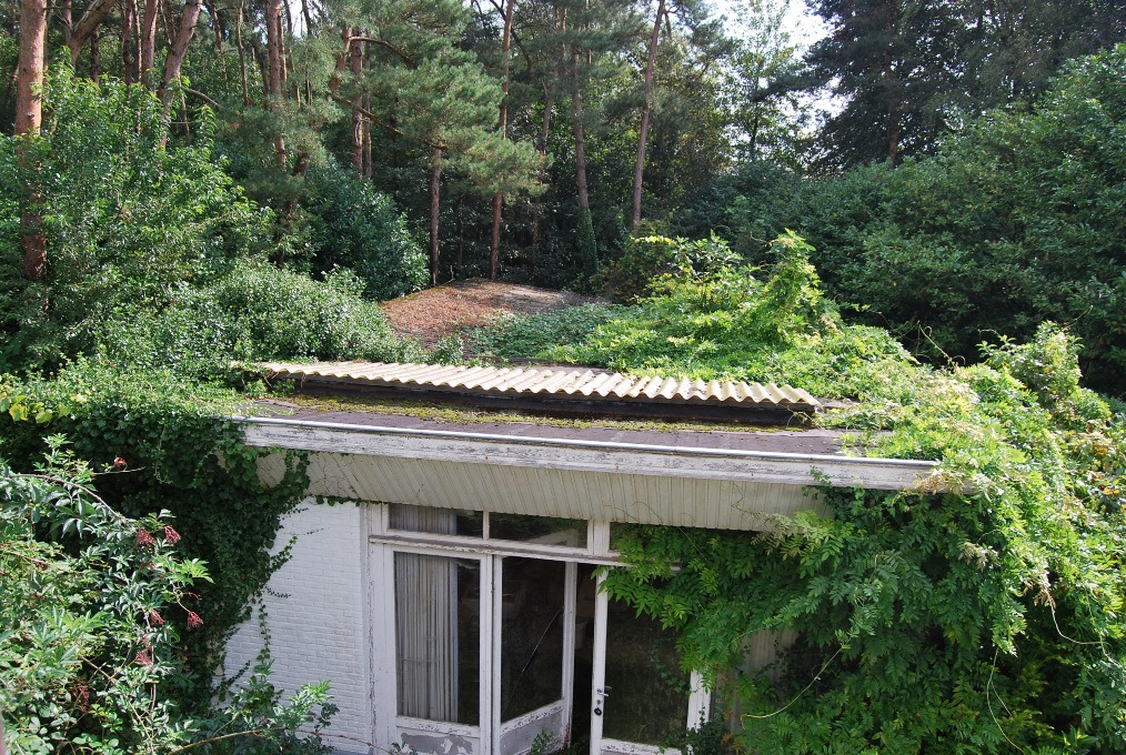 Bouwgrond/volledig te verbouwen woning op ca. 2ha te Waasmunster 