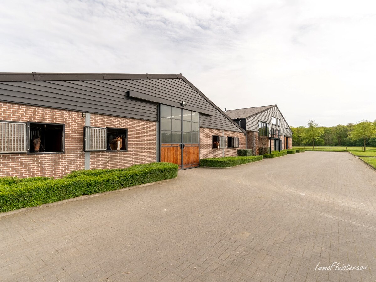 Beautiful equestrian accommodation on appr.  2.4 ha/5,94 acres in Meerle/Hoogstraten 