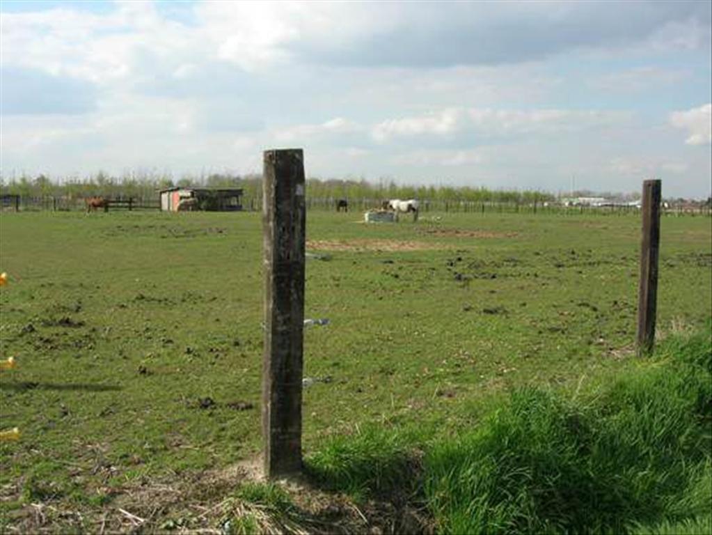 Tuinbouwbedrijf met villa op ca. 4 ha te Putte (Mechelen) 