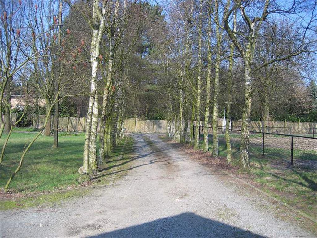 Gezinswoning op ca. 0,8 ha te Essen 