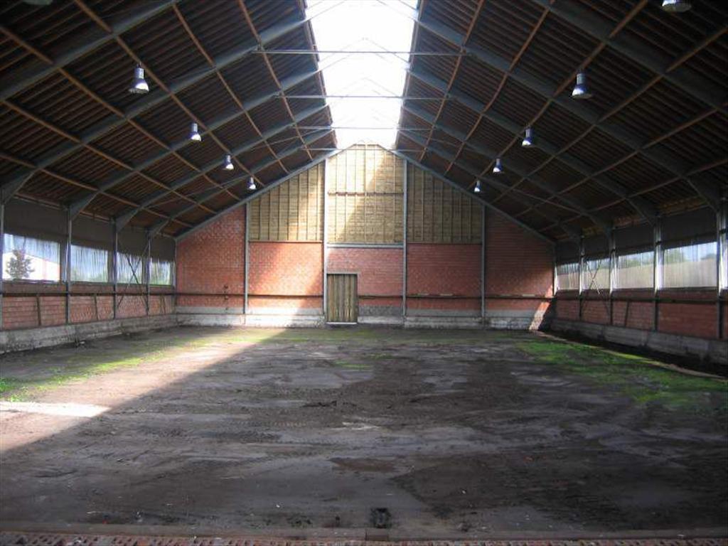 Gezellige boerderij op 2,5 ha, op rustige locatie te Merksplas 