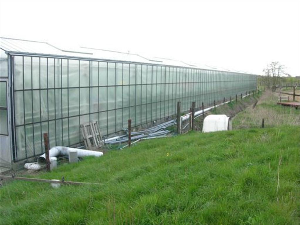 Tuinbouwbedrijf met villa op ca. 4 ha te Putte (Mechelen) 