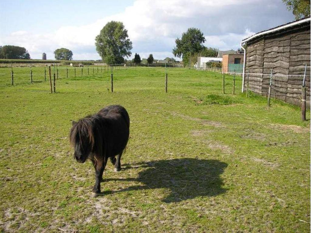 Gezellige gezinswoning met 3 paardenstallen te Meerdonk 