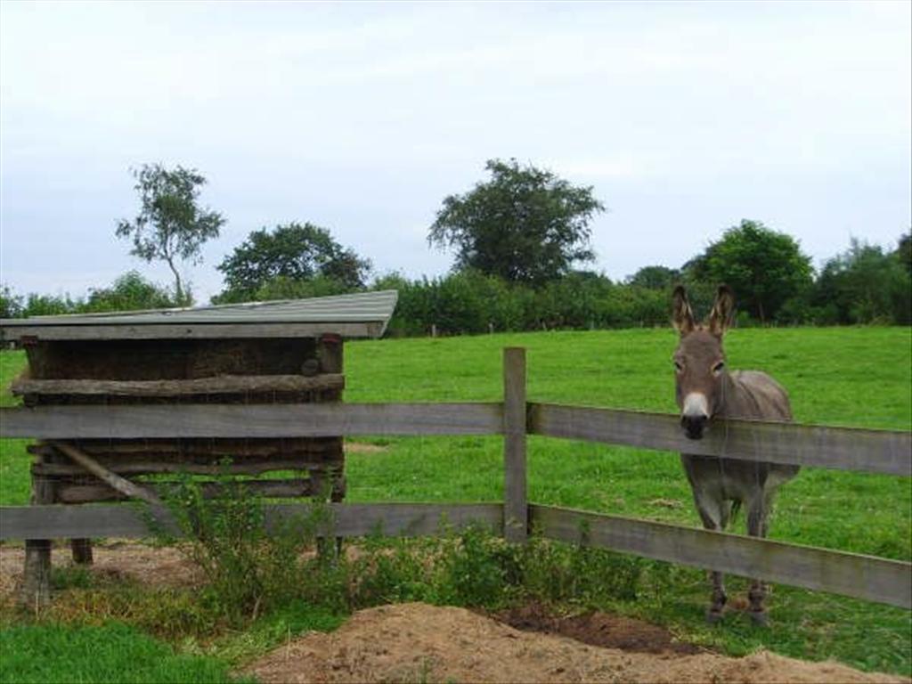 Uitzonderlijk mooie hoeve op 6,5ha te Lummen 