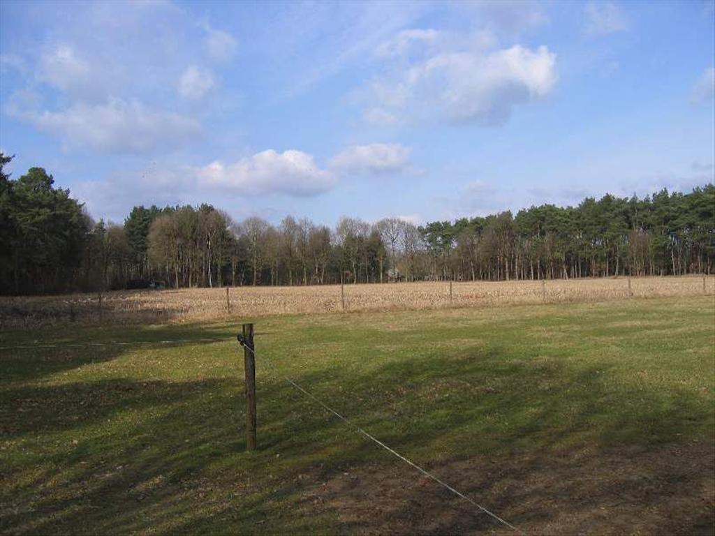 Recent gerenoveerde woning met loods op ca. 3,5 ha 