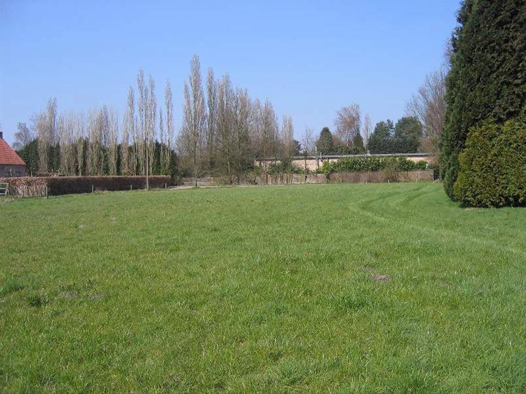 Gezinswoning op ca. 0,8 ha te Essen 