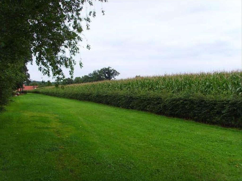 Uitzonderlijk mooie hoeve op 6,5ha te Lummen 